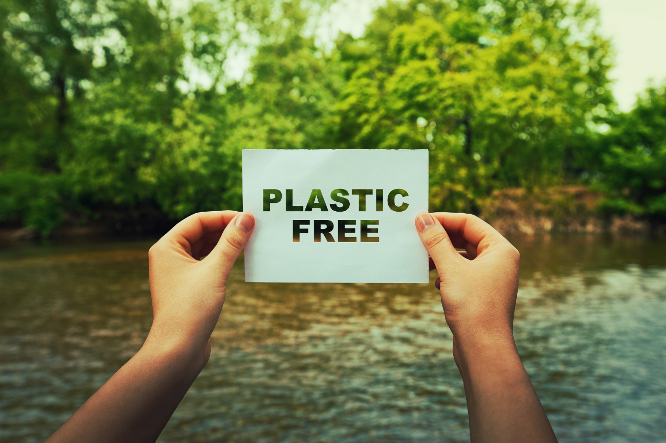 Embracing the power of Plastic Free July: Small Actions, Big Impact