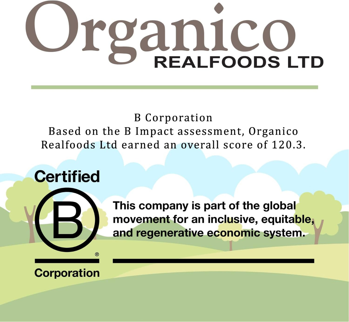 Artichoke Hearts in Oil 190g - Organico - Artichoke Hearts - Eco Natural Products