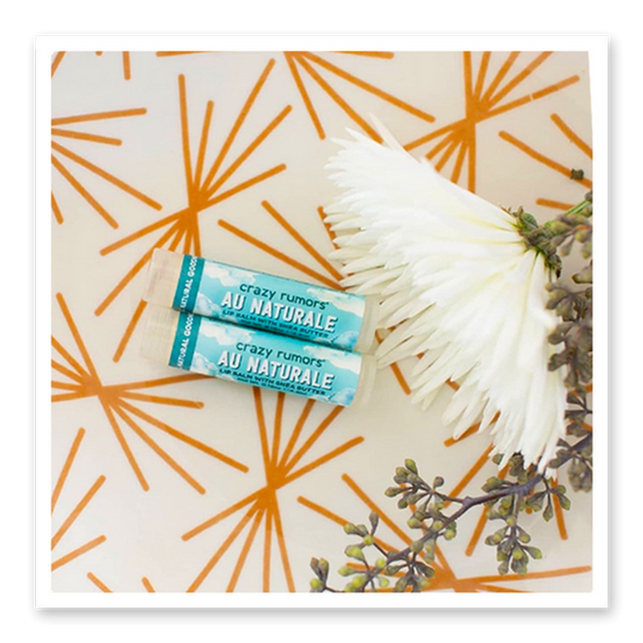 Au Naturale Fragrance Free Lip Balm 4ml - Crazy Rumors - Lip Balms & Treatments - Eco Natural Products