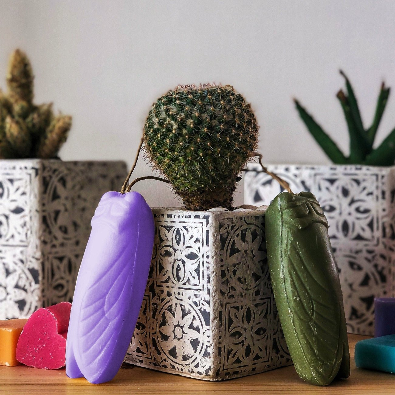 Cigale on a Cord Olive Oil 125g - Savons.com / Foufour Entreprise - Bar Soap - Savons.com / Foufour Entreprise