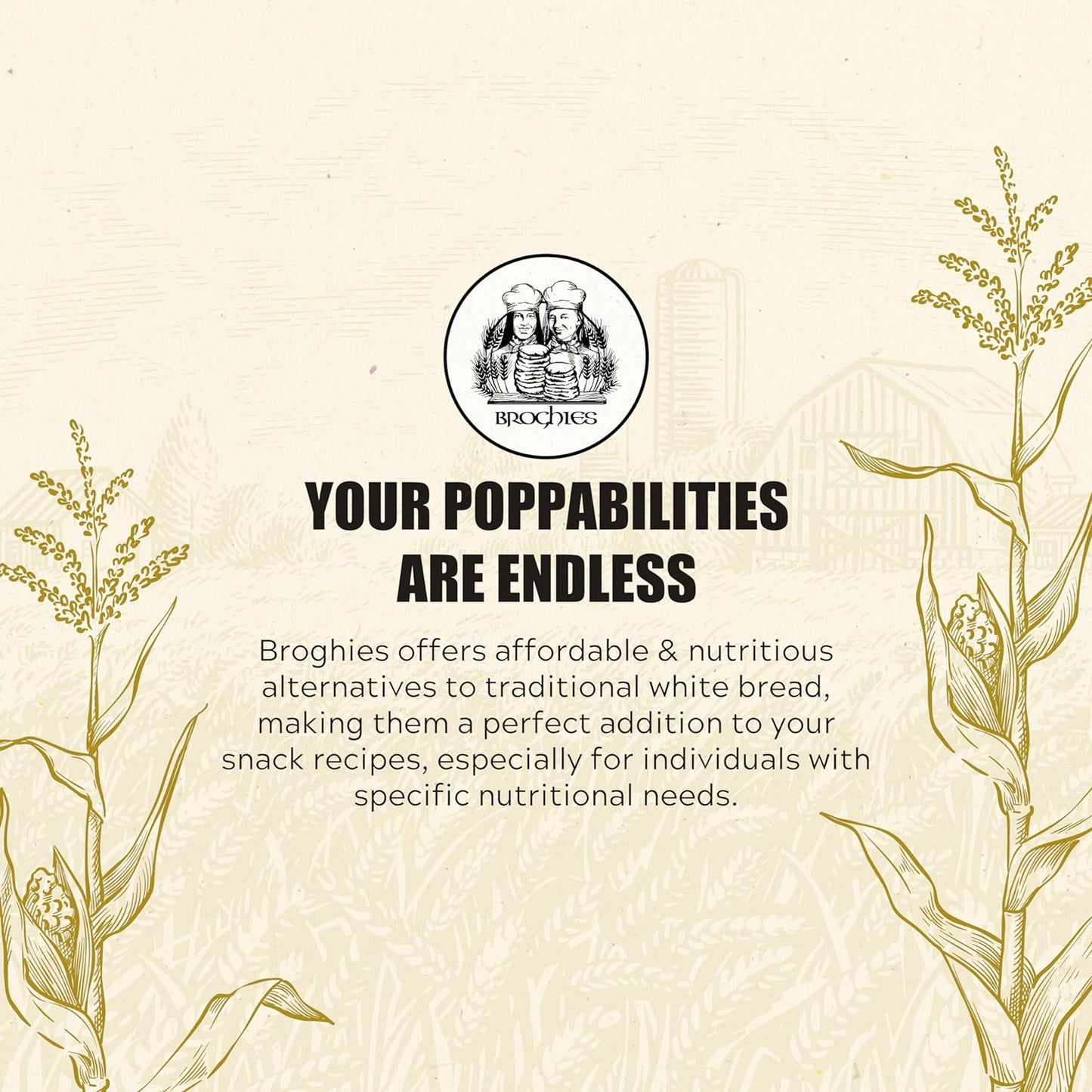 Crackers Wheat Broghies 75g - Broghies - Crispbread - Eco Natural Products