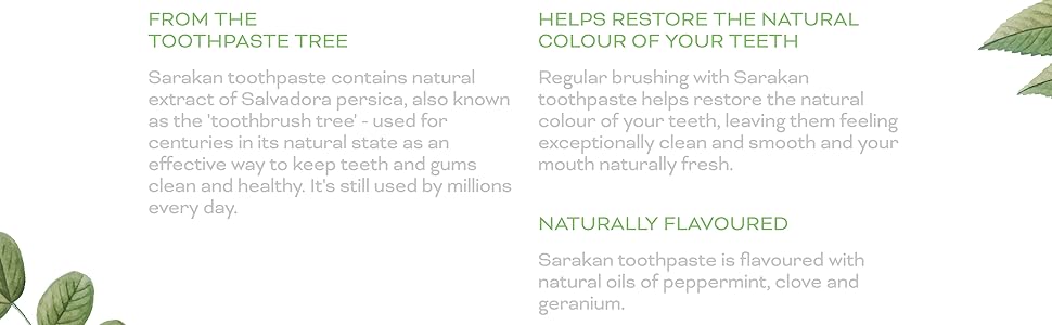 Fluoride Free Toothpaste 50ml - Sarakan - Toothpaste - Eco Natural Products
