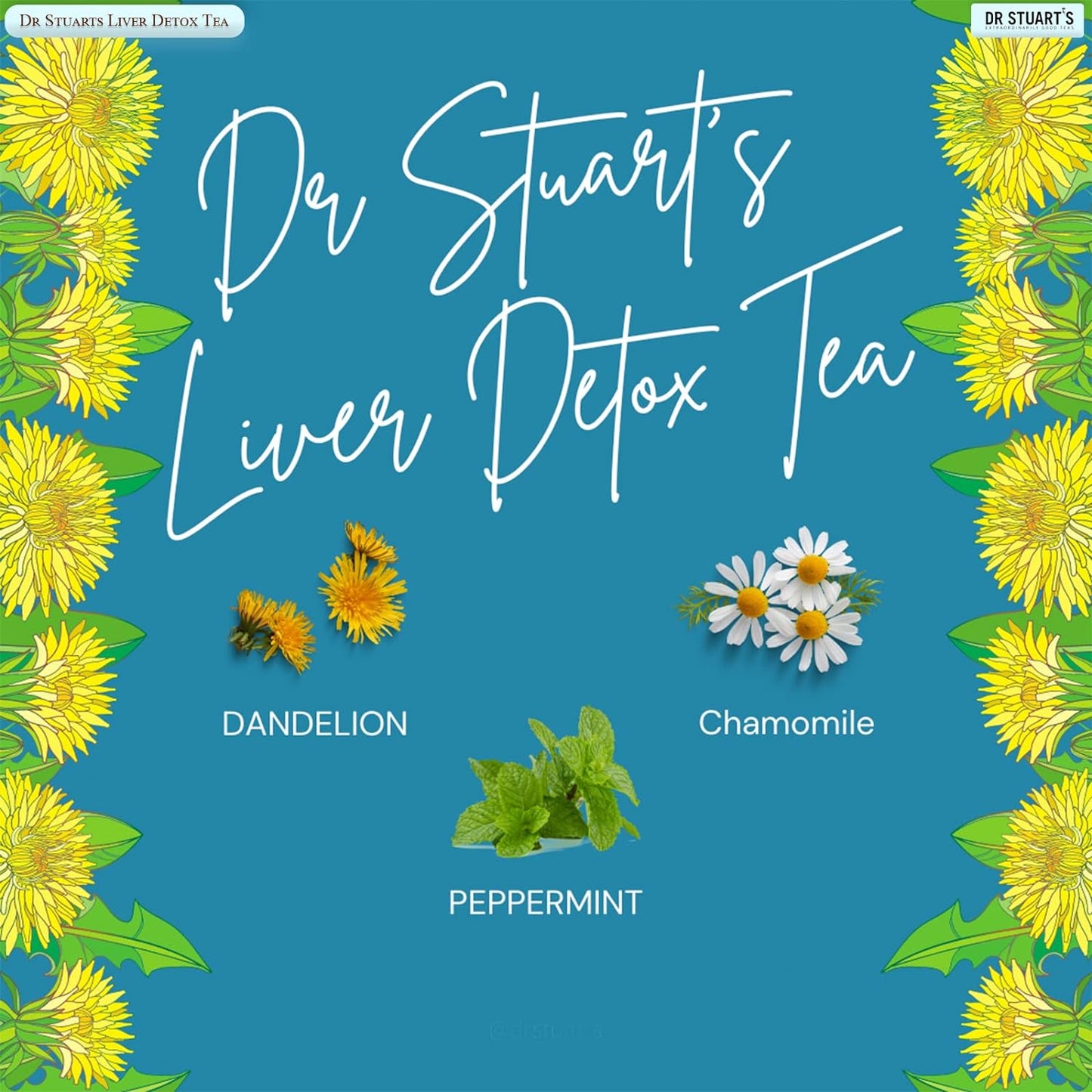 Liver Detox Tea 15 Bags - Dr Stuart's - Herbal tea - Eco Natural Products
