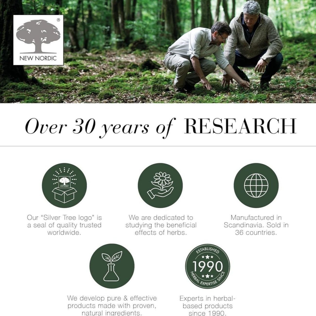 New Nordic - Melissa Dream 20 Tablets BBE 11.2026 - New Nordic - Herbal Supplements - New Nordic