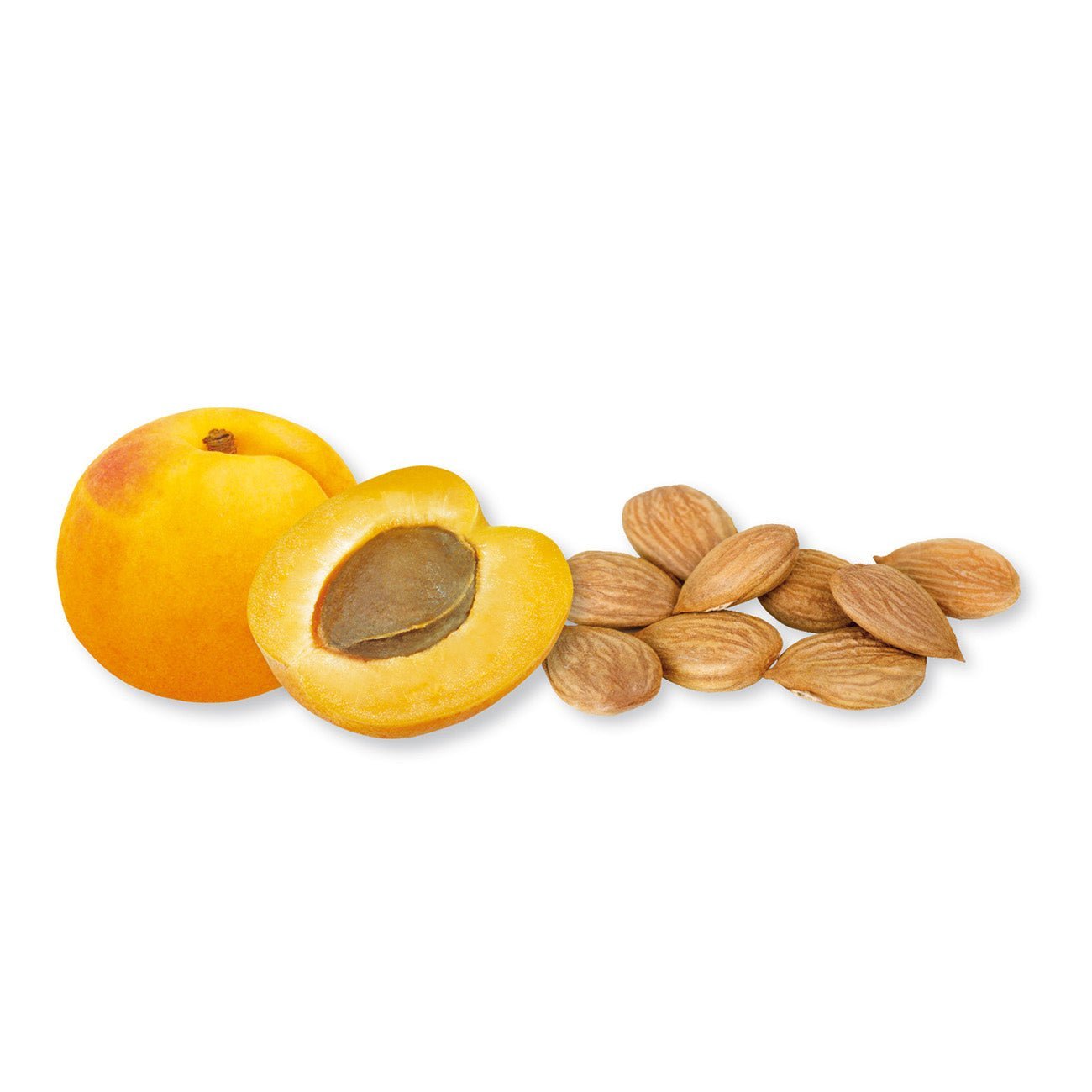 Organic Apricot Kernel Butter Vegan 170g - Carley´s - Spread - Eco Natural Products