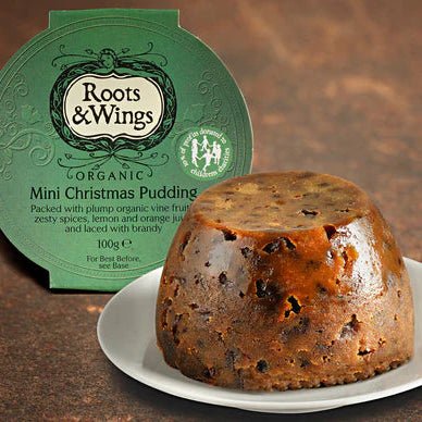 Organic Mini Christmas Pudding 100g - Roots And Wings - Pudding & Gelatin Snacks - Roots And Wings
