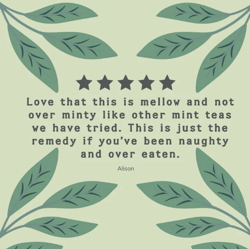 Organic Mint & Green Tea 20 Bags - Hampstead Tea - Green Tea - Hampstead Tea