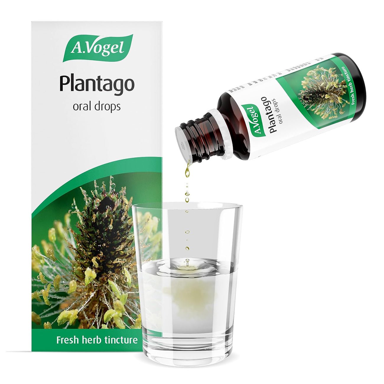 Plantago Lanceolata Tincture Drops 50ml - A. Vogel - Herbal Supplement - Eco Natural Products