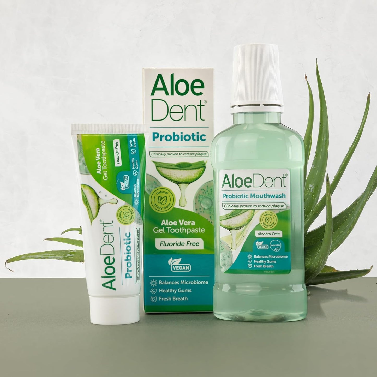 Probiotic Toothpaste 75ml - Aloe Dent - Toothpaste - Eco Natural Products
