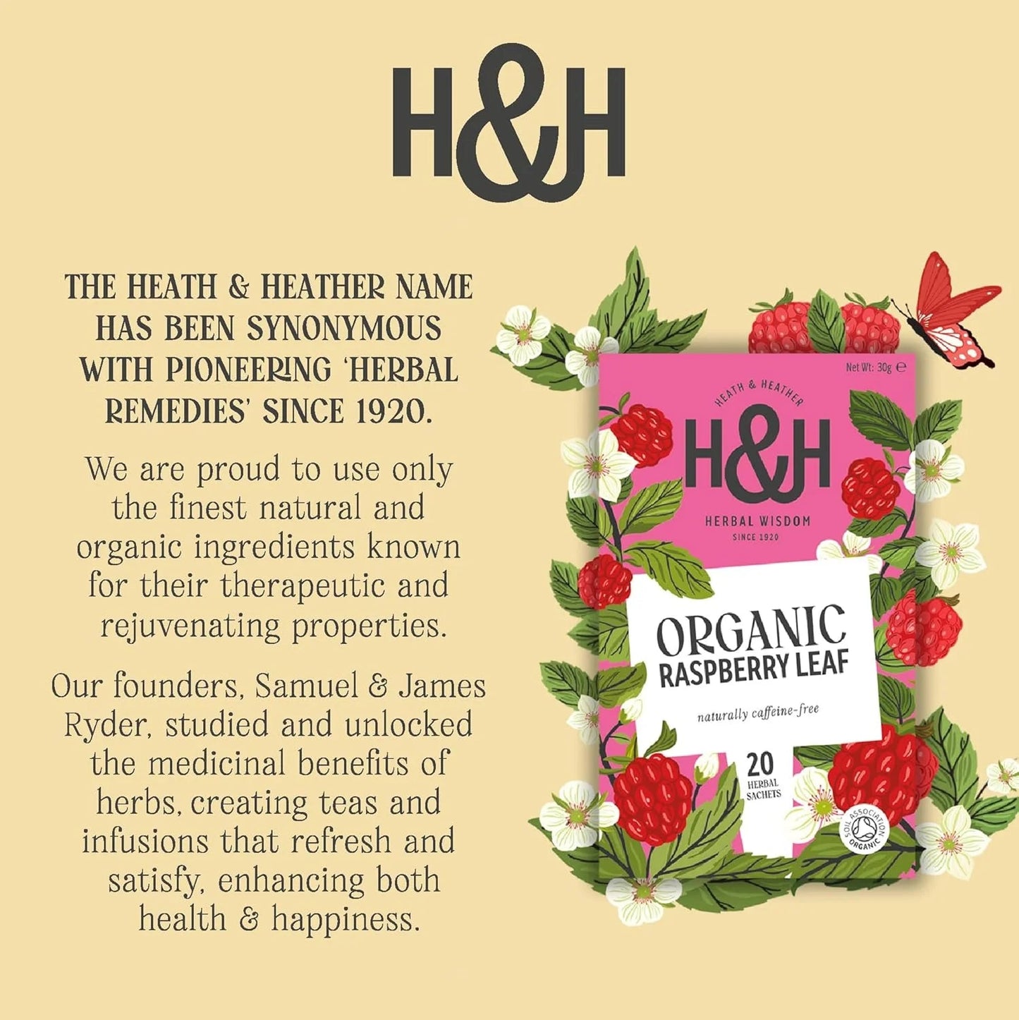 Raspberry Leaf Infusion 20 Bags - Heath & Heather - Infusions - Heath & Heather