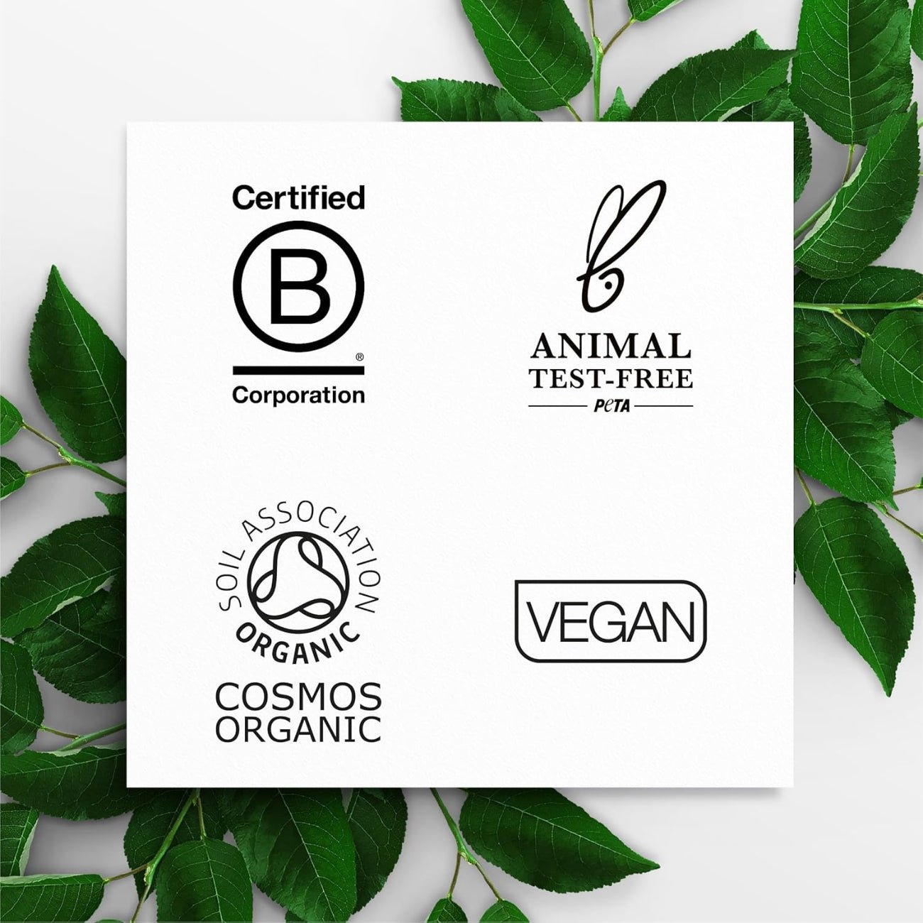 Rose Otto Night Cream 50ml - Dr Organic - Face Moisturizers - Eco Natural Products