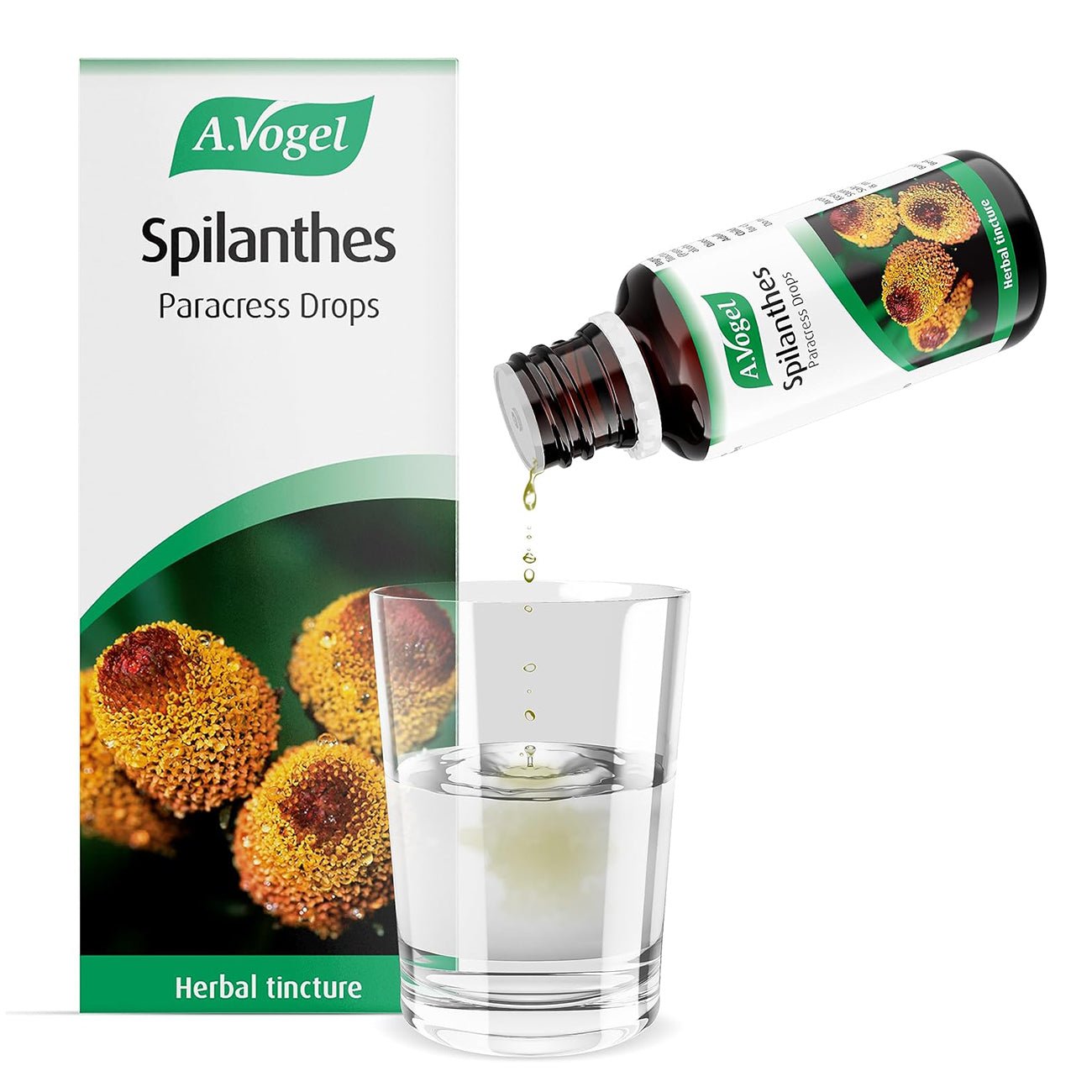 Spilanthes Tincture Drops 50ml - A. Vogel - Herbal Supplement - Eco Natural Products