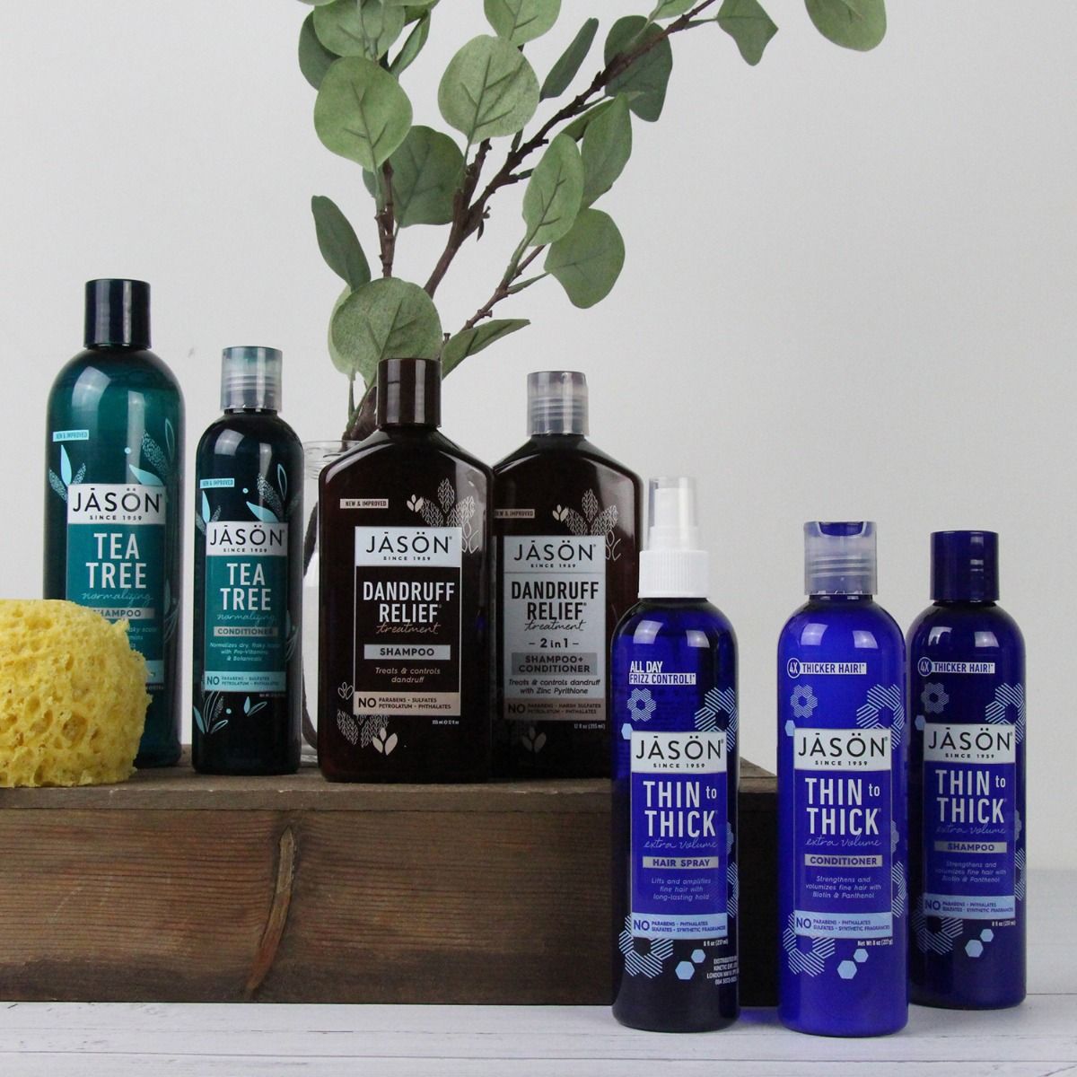 Thin To Thick Extra Volume Conditioner 240ml - Jason - Conditioners - Eco Natural Products