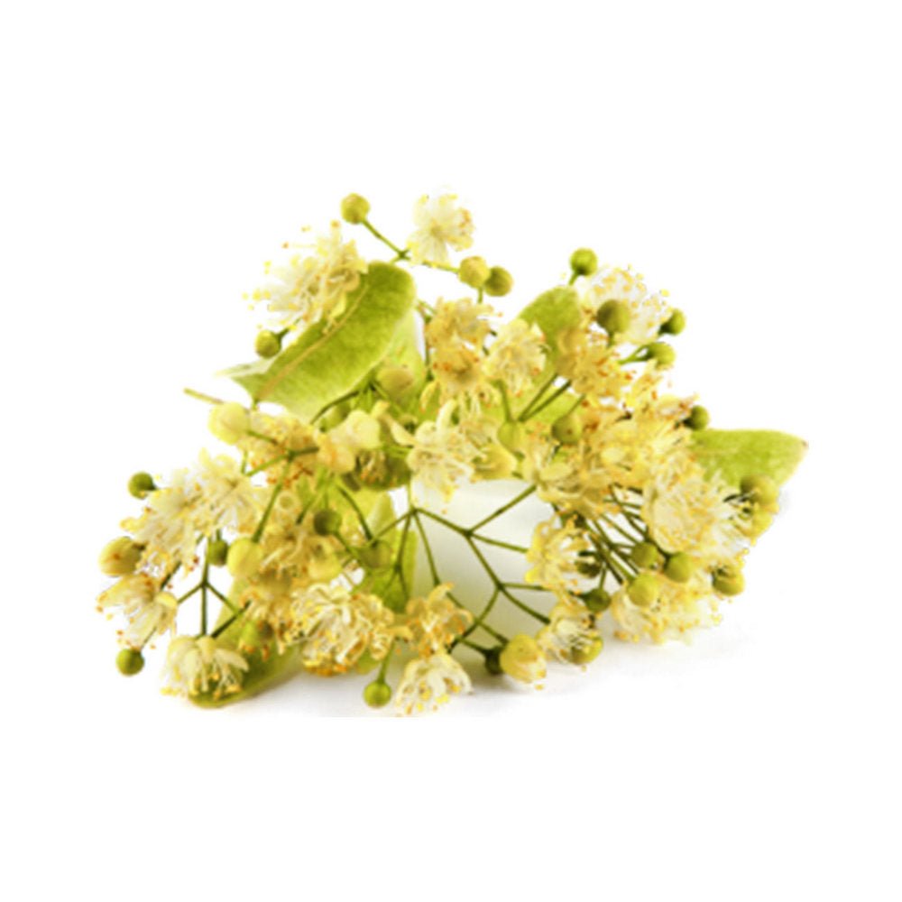 Winter Wellness Vitamin & Mineral 12 Lollipops - Healthipops - Sweets - Eco Natural Products