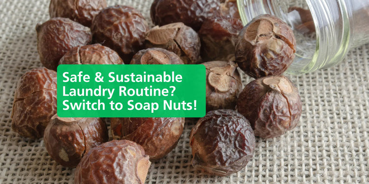 Sustainable Laundry Soap Nuts to the Rescue! - Eco Natural Products