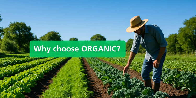 Why Choose Organic Healthier Soil, Happier Wildlife 🌱 - Eco Natural Products