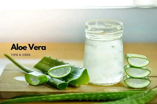 Aloe Vera Tips, Tricks & Skincare Recipes - Eco Natural Products