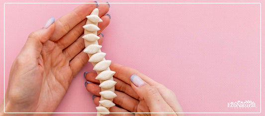 Hands holding a model of a human spine