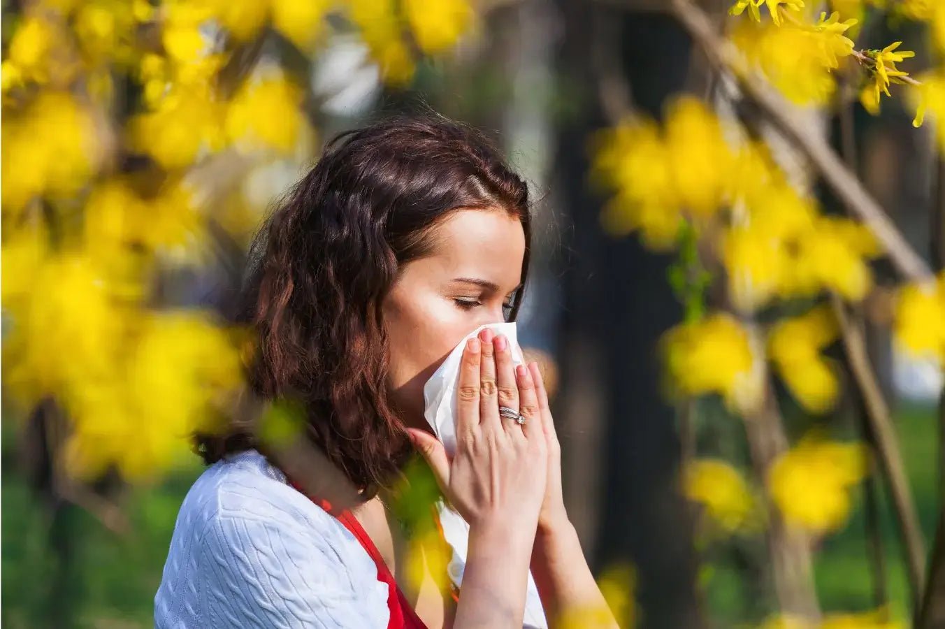 Natural hay fever remedies - Eco Natural Products