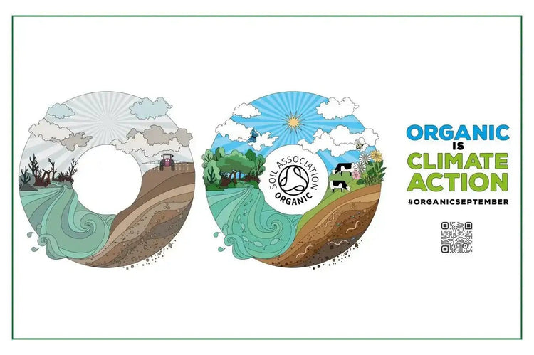 Organic September Is Here: Shop Clean, Live Green ♻️ - Eco Natural Products