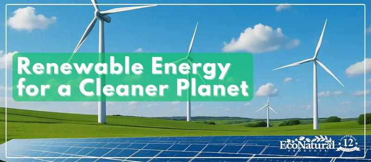 Renewable Energy and Reducing Plastic Waste - Eco Natural Products