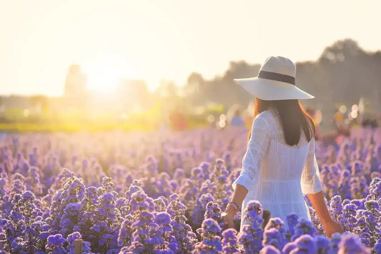 Summer in a Bar: Our Top 5 Marseille Soap Scents ☀️ - Eco Natural Products