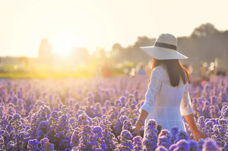 Summer in a Bar: Our Top 5 Marseille Soap Scents ☀️ - Eco Natural Products