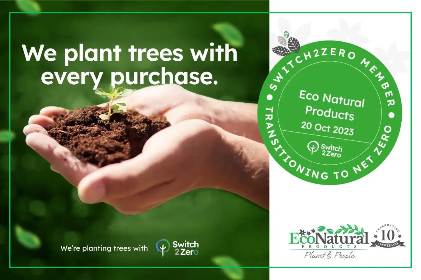 Switch2Zero: working towards net zero – and planting trees! - Eco Natural Products