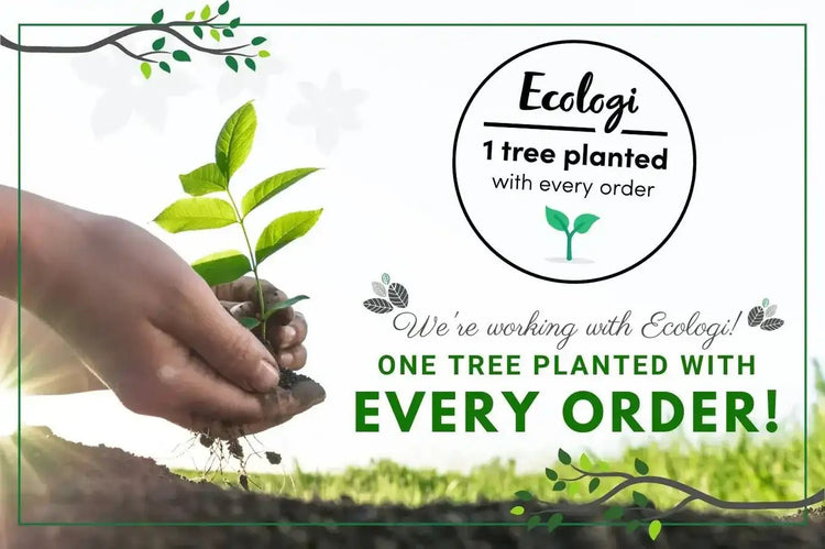 We Plant a Tree with Every Order – Here’s How You Help 🌱 - Eco Natural Products