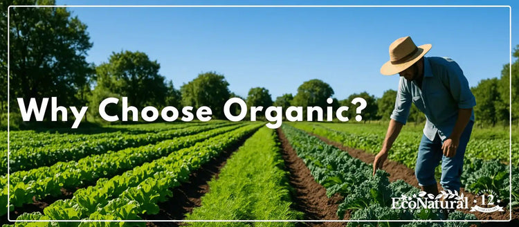 Why Choose Organic? Healthier Soil, Happier Wildlife 🌱 - Eco Natural Products