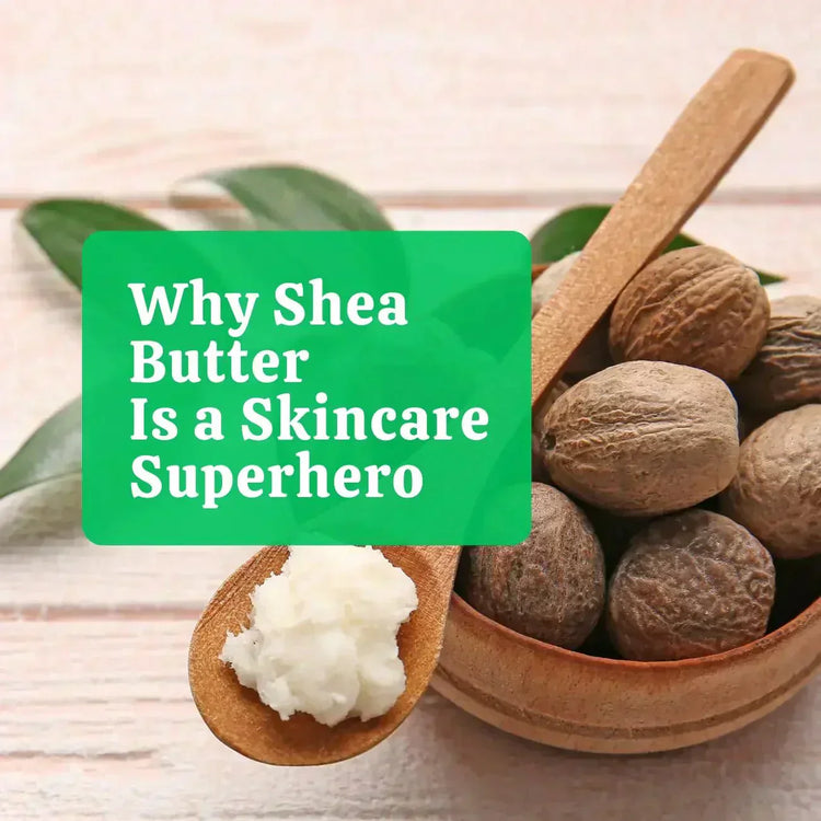 Why Shea Butter Is a Skincare Superhero? - Eco Natural Products