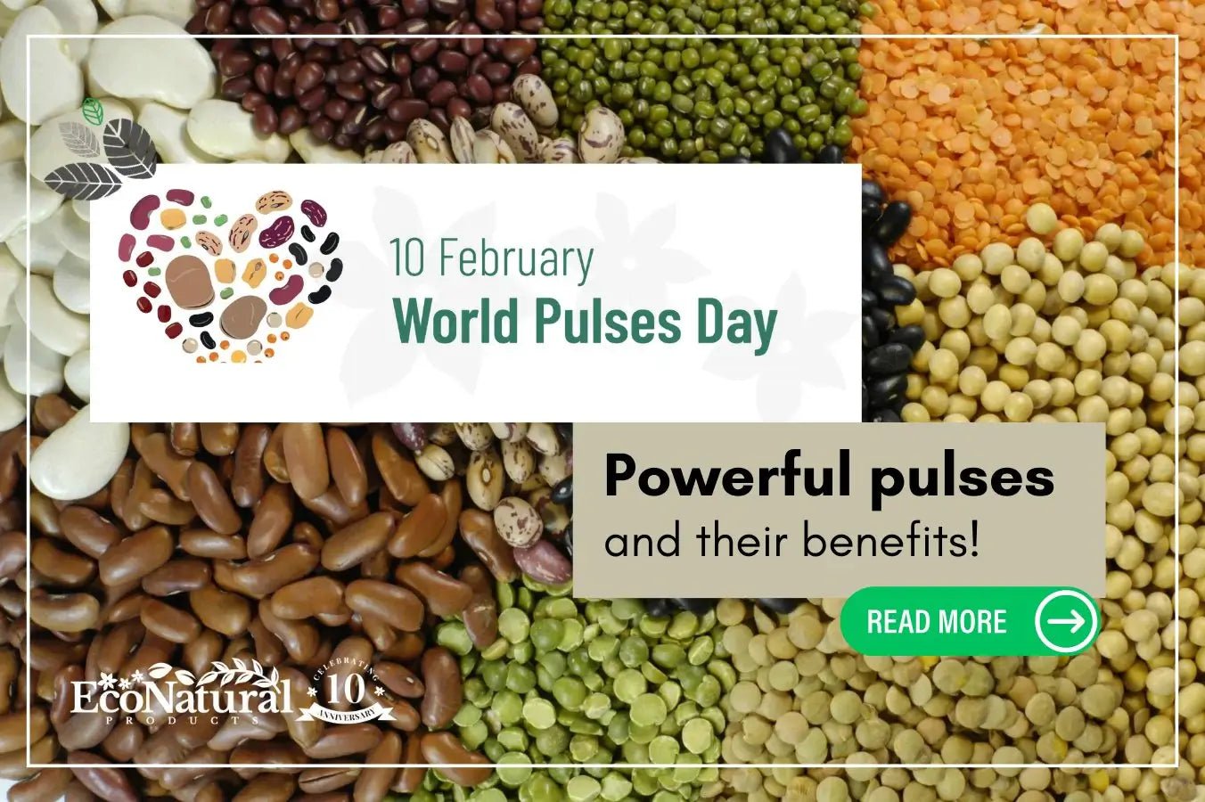 World Pulses Day – all you need to know! - Eco Natural Products