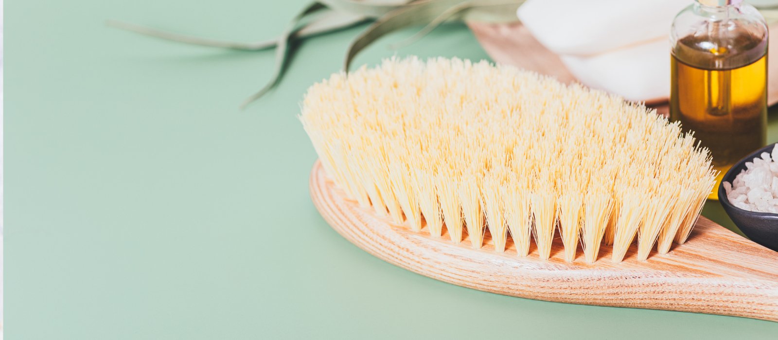 All Body Brushes - Eco Natural Products