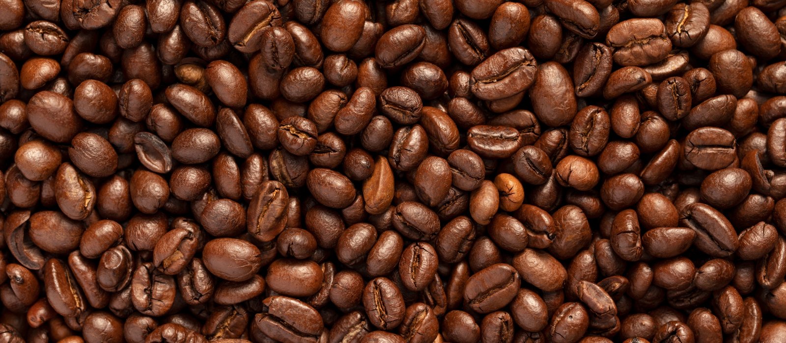 All Coffee Beans - Eco Natural Products