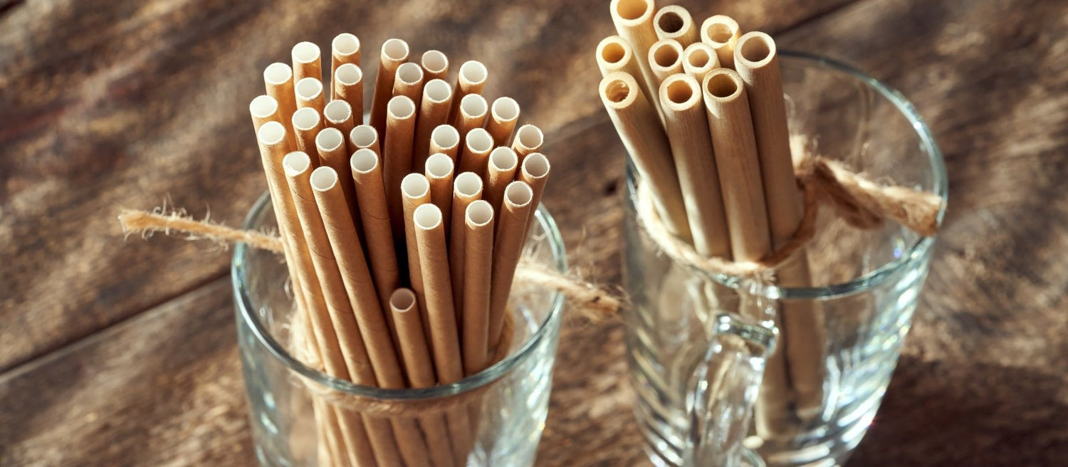 All Eco Drink Straws - Eco Natural Products