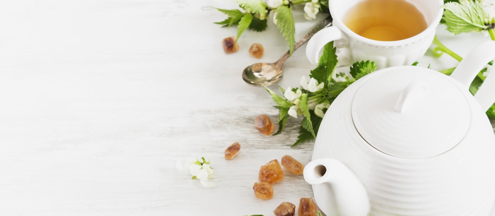 All White Teas - Eco Natural Products