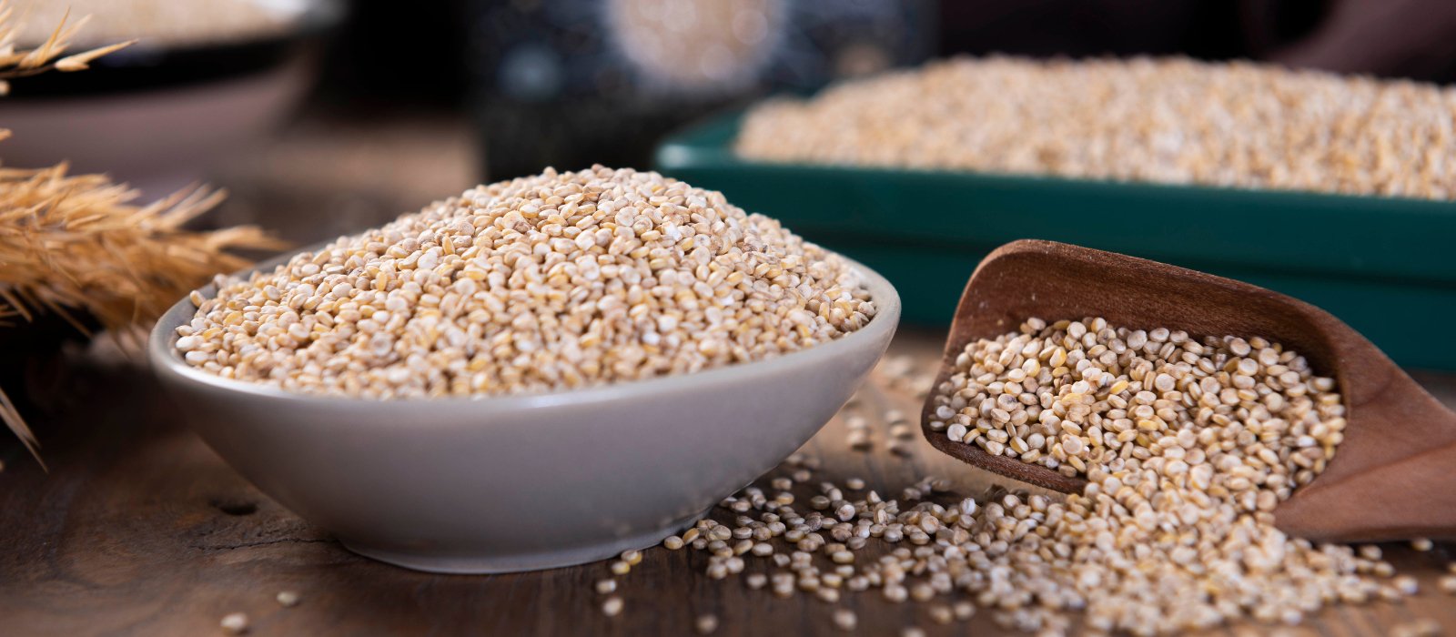 All Whole Grains - Eco Natural Products