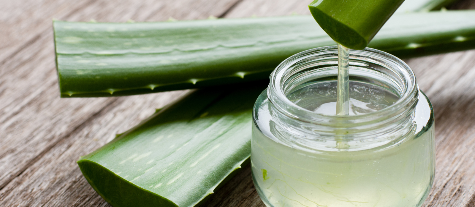 Shop Key Ingredient Aloe Vera in Health