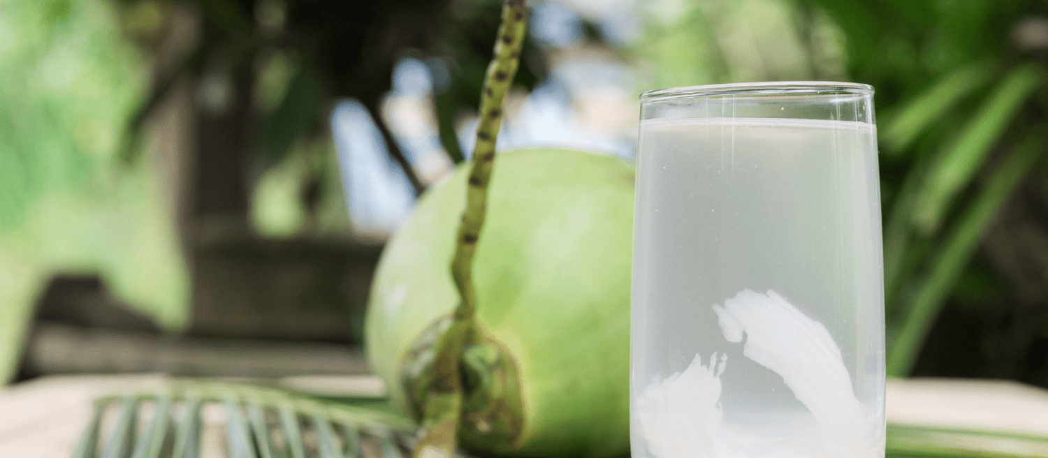 Cocofina - Eco Natural Products