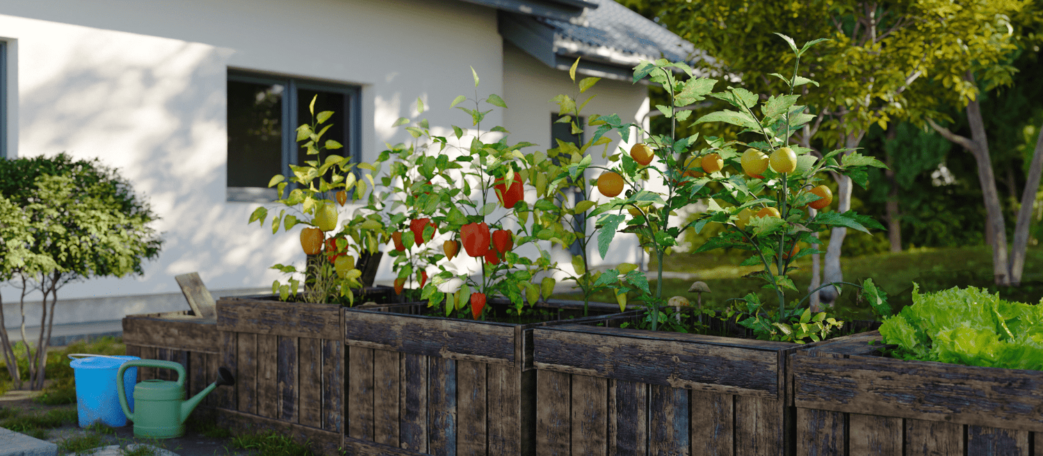 Collection Garden - Eco Natural Products