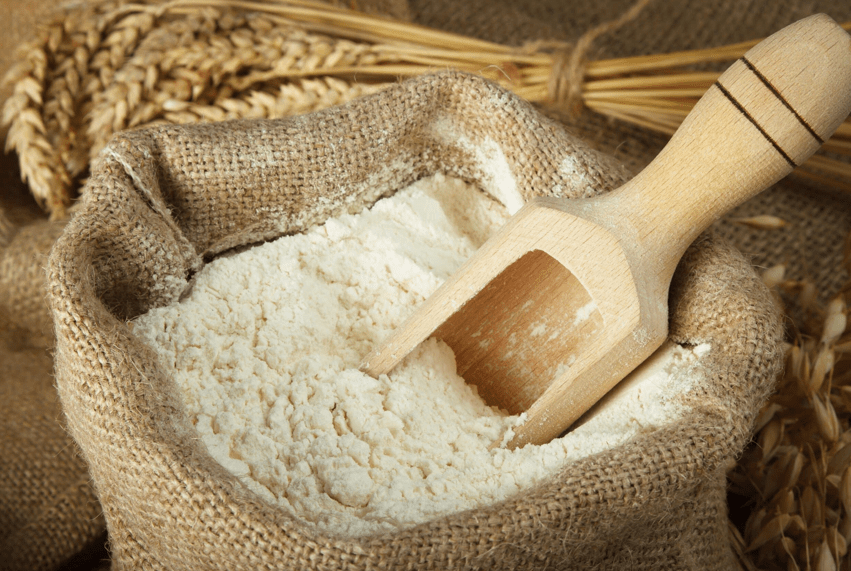 GFport - Eco Natural Products