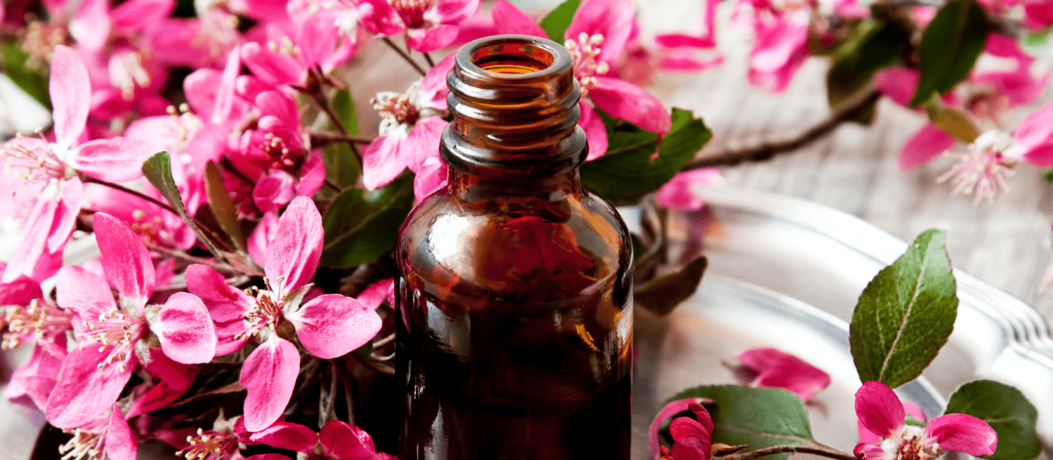 Jan de Vries - Eco Natural Products