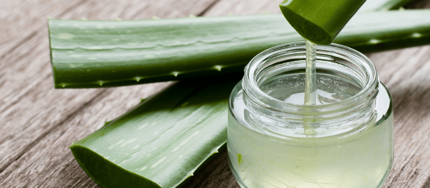 Key Ingredient Aloe Vera in Health - Eco Natural Products
