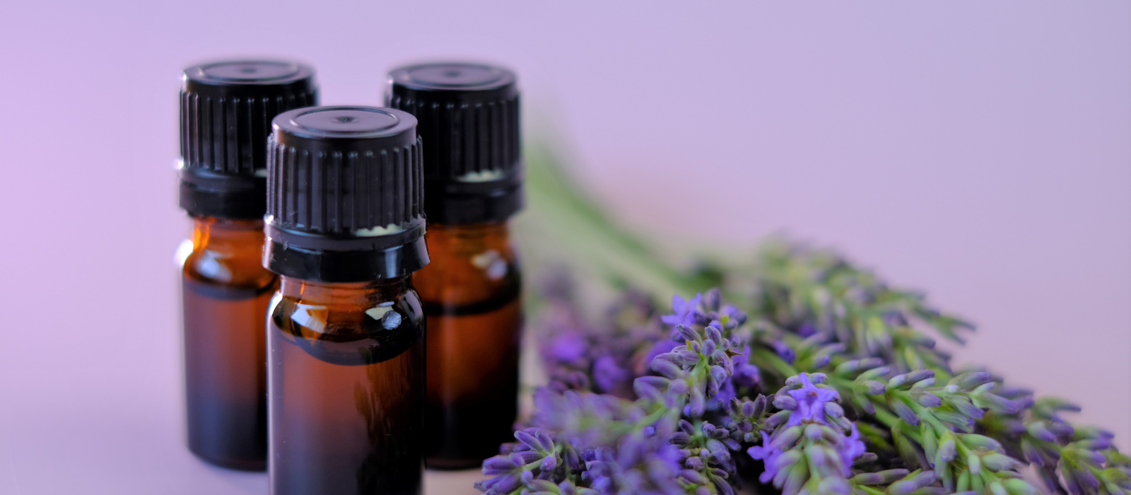 Shop Lavender Essential Oil