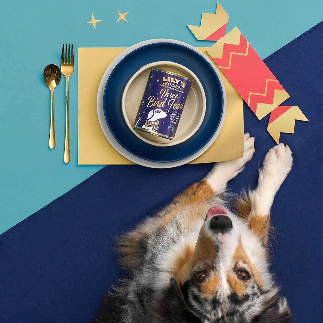 Lily's Kitchen - Eco Natural Products