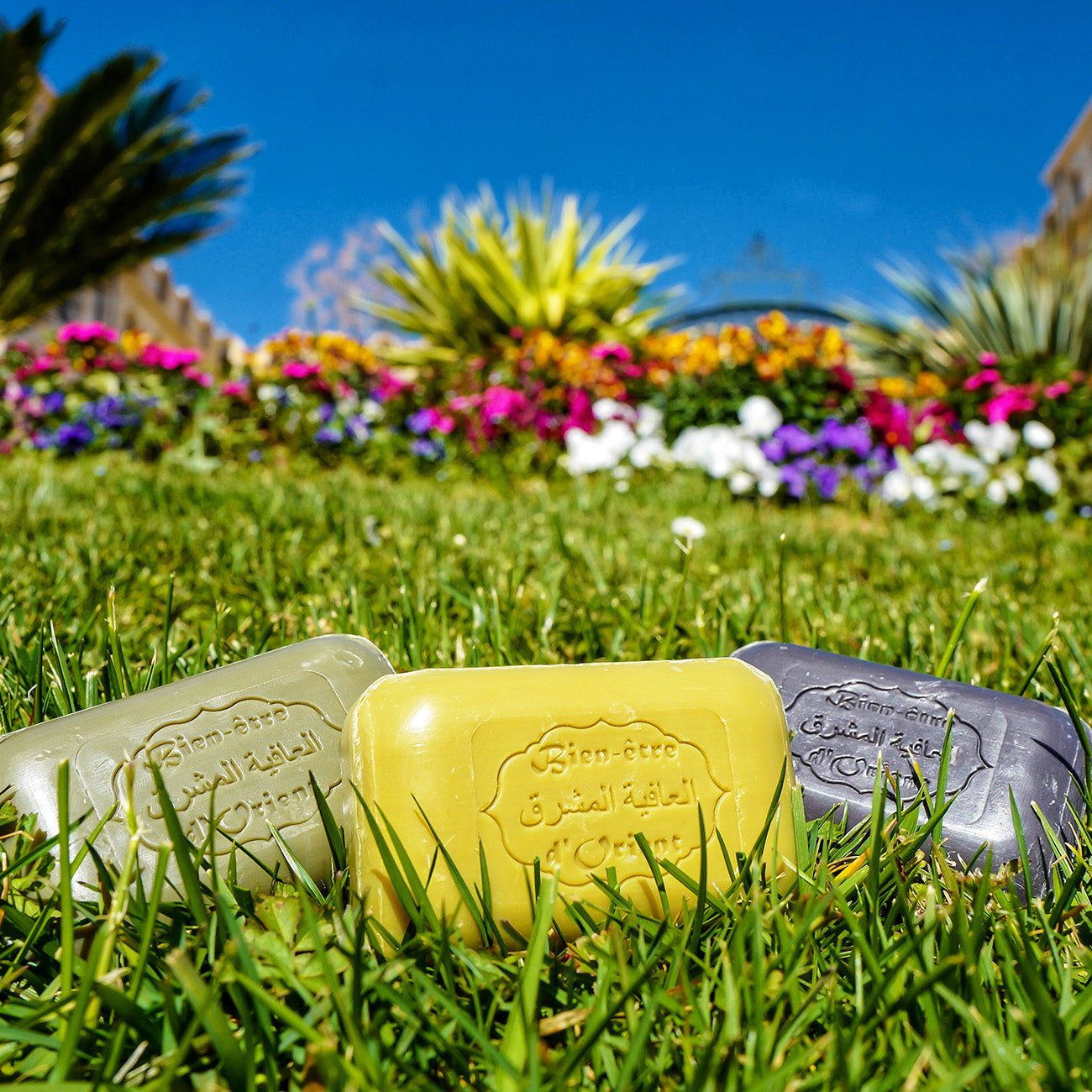 Shop Marseille Oriental Wellness Soaps - Eco Natural Products