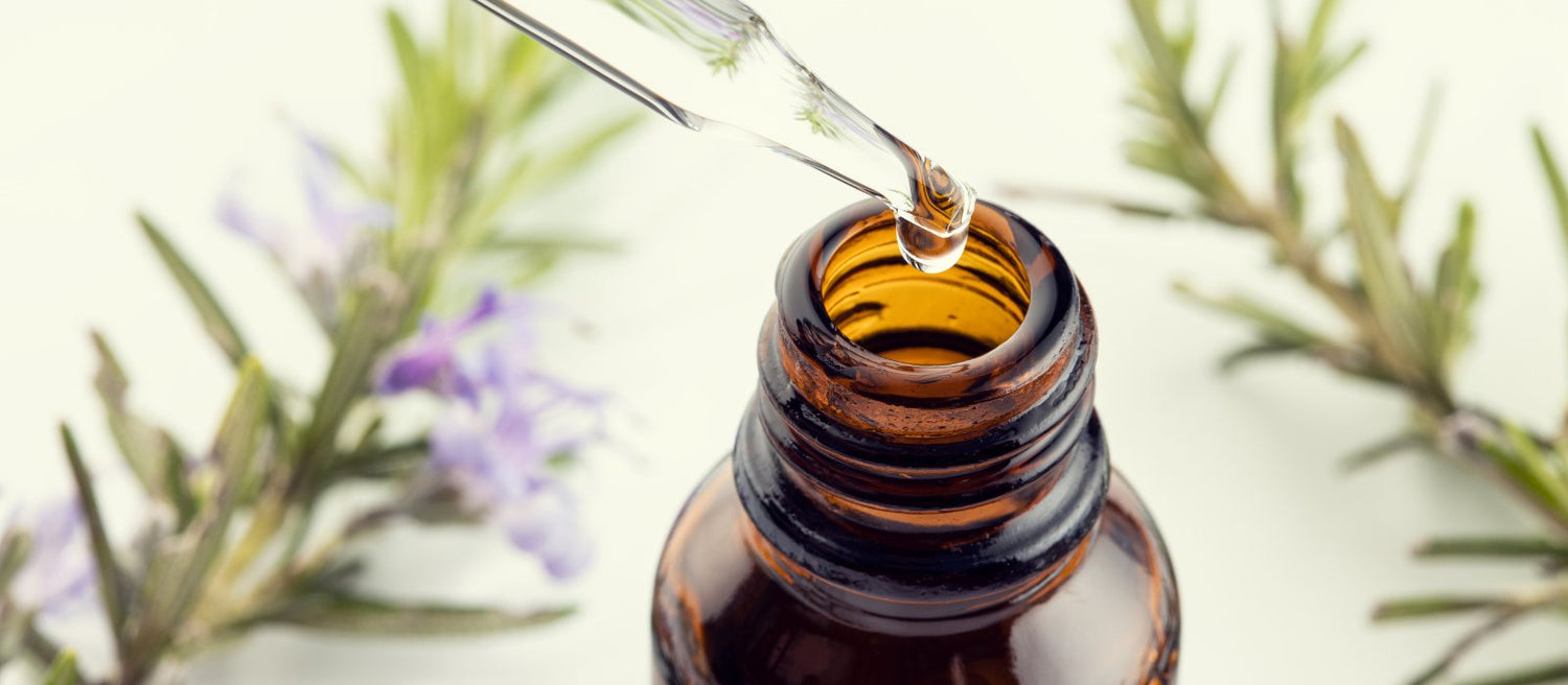Rosemary Essential Oils - Eco Natural Products