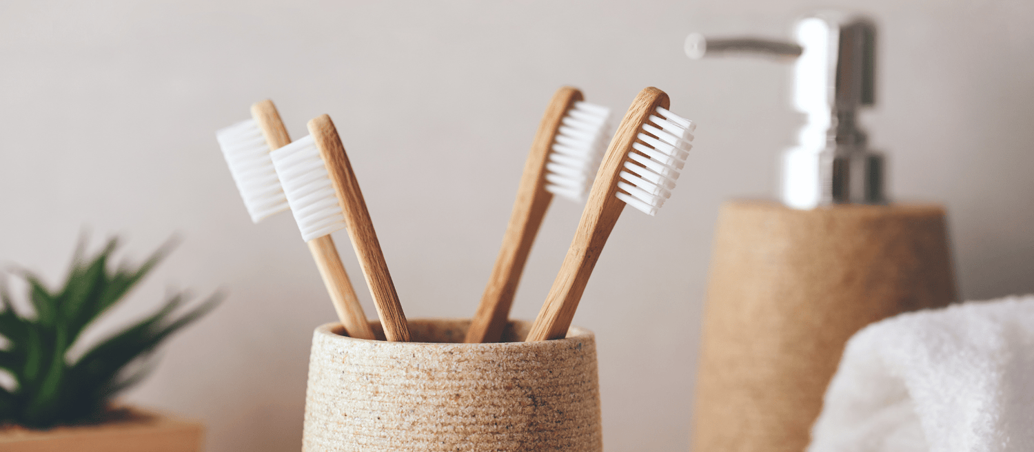The Environmental Toothbrush - Eco Natural Products