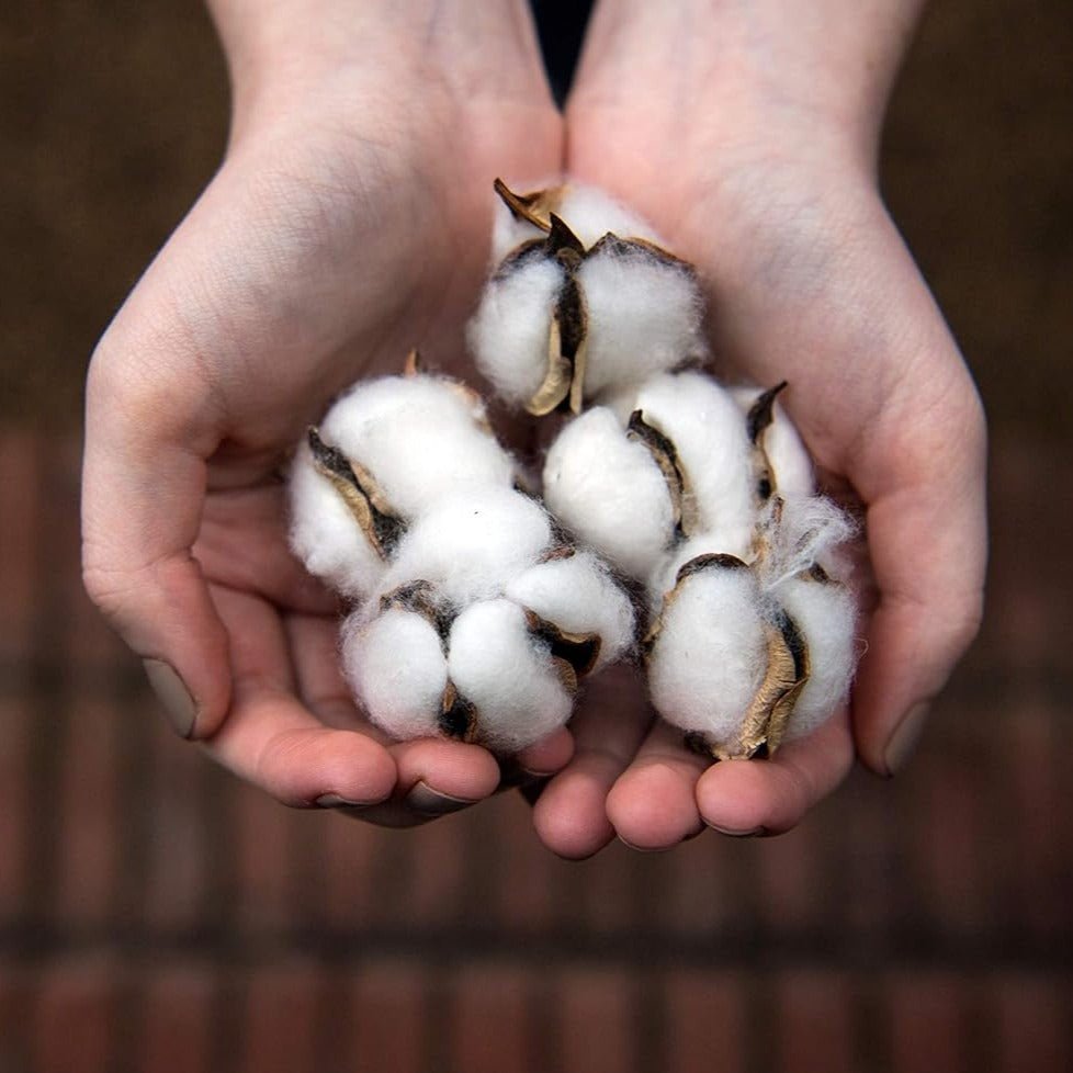 Organyc 100% Biodegradable Organic Cotton Balls