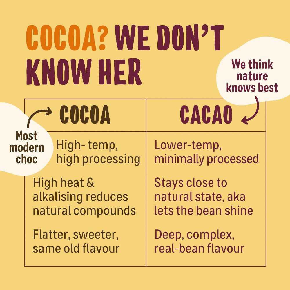 100% Cacao Chocolate Bar 35g - Ombar - Chocolate Bar - Ombar